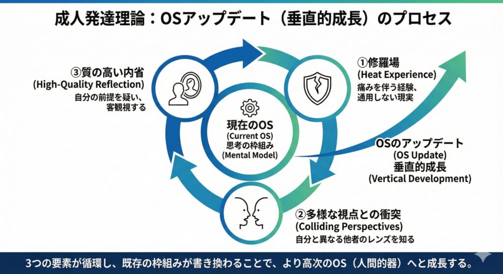 A cycle diagram illustrating the three drivers of Vertical Development (OS Update) based on Adult Development Theory. The central core representing the 'Current OS' is surrounded by a continuous cycle of 'Heat Experiences' (challenges), 'Colliding Perspectives' (diverse views), and 'Reflection' (introspection). An upward arrow indicates that these three elements combined lead to 'Vertical Growth' or a 'New Mental OS'.