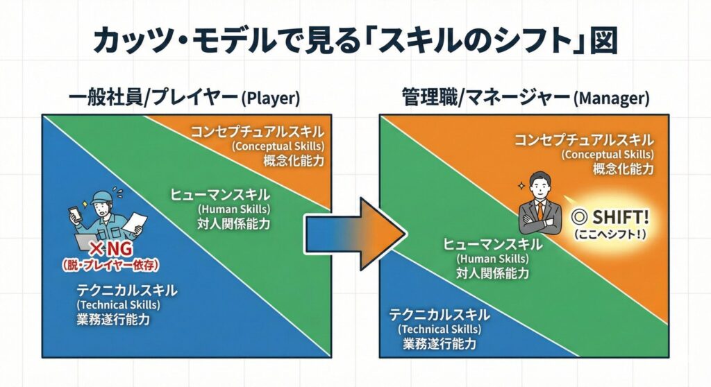 Diagram of the Katz Model illustrating the transition from a Player to a Manager. It highlights the necessity to reduce reliance on Technical Skills and shift focus towards Human and Conceptual Skills for effective management.