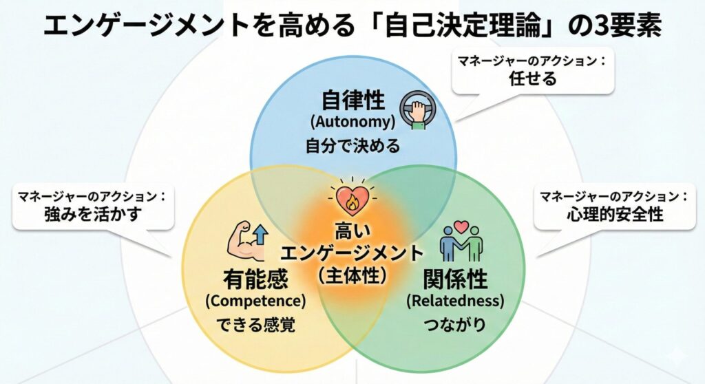 nfographic Venn diagram titled 'エンゲージメントを高める「自己決定理論」の3要素' (The 3 Elements of 'Self-Determination Theory' that Boost Engagement). It shows three overlapping circles: top '自律性 (Autonomy) - 自分で決める' linked to manager action '任せる' (Delegate); bottom-left '有能感 (Competence) - できる感覚' linked to manager action '強みを活かす' (Leverage Strengths); and bottom-right '関係性 (Relatedness) - つながり' linked to manager action '心理的安全性' (Psychological Safety). The central overlapping area is labeled '高いエンゲージメント（主体性）' (High Engagement (Initiative)).